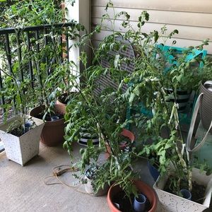 Meet your Posher, Catherine